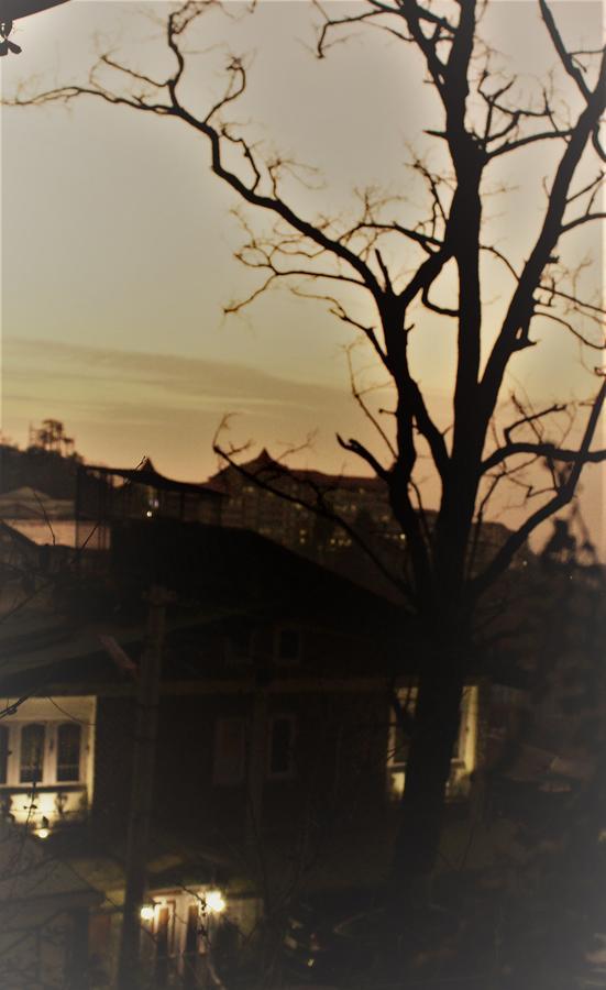 Prakash Cottage Shimla Eksteriør bilde